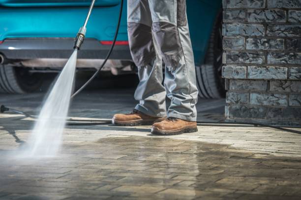 Best Winterizing Services  in Wadsworth, IL