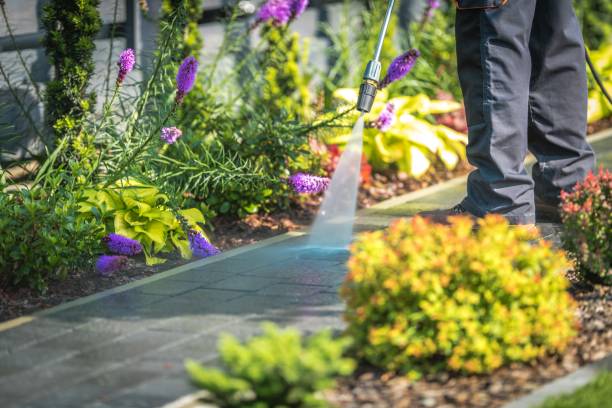 Best Sign and Awning Cleaning  in Wadsworth, IL